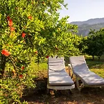 Ikiz Willa Çıralı