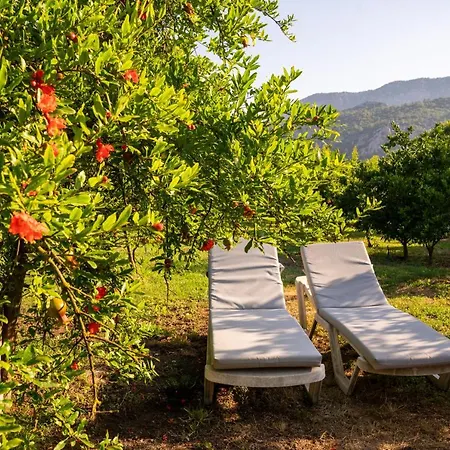Ikiz Villa Çıralı