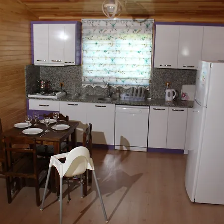 Ikiz Villa Çıralı