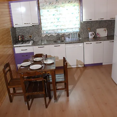 Ikiz Villa