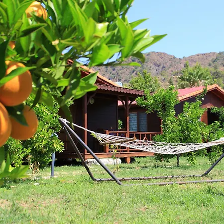 Ikiz Villa *