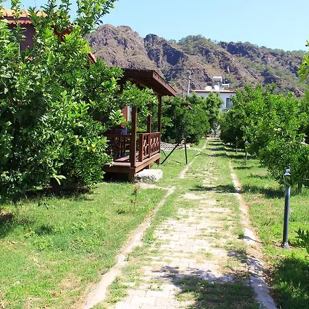 Vilă Ikiz Çıralı