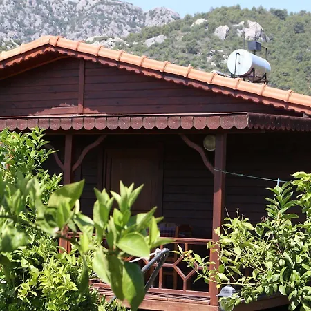 Ikiz Çıralı
