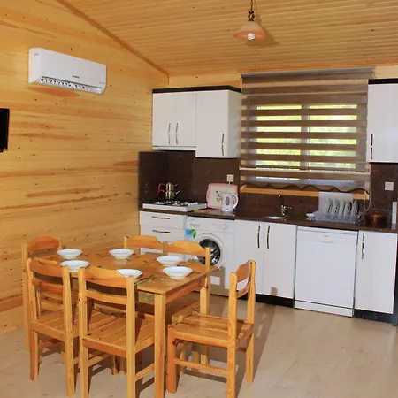 Ikiz Villa
