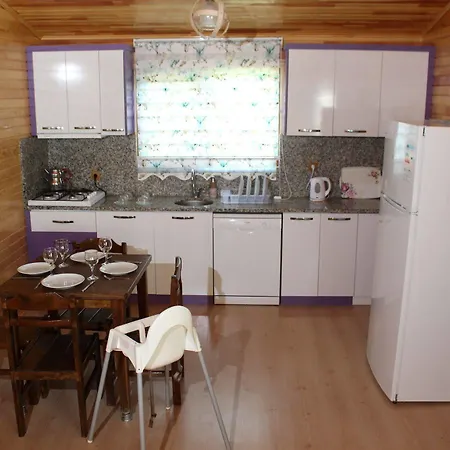 Villa Ikiz *