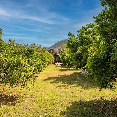 Villa Ikiz Çıralı